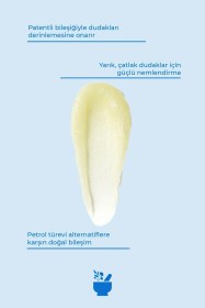 Resim Cosmed Nemlendirici ve Koruyucu SPF20 Dudak Balmı - Lip Balm - 15 ml 