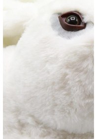 Resim Twigy Yy0322 Tw Zulu Kadın Panduf Beyaz 36-41 YY0322 Beyaz 