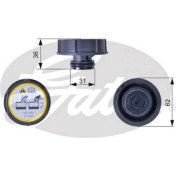 Resim Yedek Su Depo Kapagi Freelander 2 L359 R.r Evoque L538 L551 Jaguar E-Pace X540 Ford B-Max C-Max Fiesta Focus Galaxy Kuga Mondeo Volvo S40 S60 S80 S90 C70 C30 Dpmah 