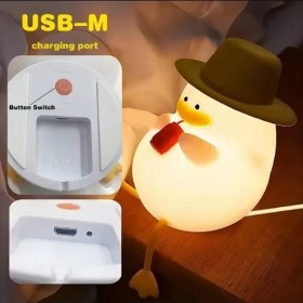 Resim Hediyesahibi Sevimli Ördek Şapkalı Silikon LED Gece Lambası – Dokunmatik, USB Şarjlı, Dekoratif Masa Lambası 
