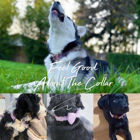 Resim Dog Collar Named Dusty Purple Velvet Collar 01196 - 5pcs set / L 