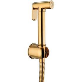 Resim GPD Spiralli Taharet El Duşu Pirinç Altın Sts04-a 