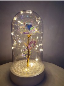 Resim Şeffaf Kristal Işıklı Gül Fanus 