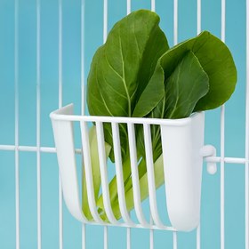 Resim Papağan Kuş Meyve ve Sebze Besleyici - Beyaz Kafes, Papağınıza Özel Taze Yemekler İçin Mükemmel! 