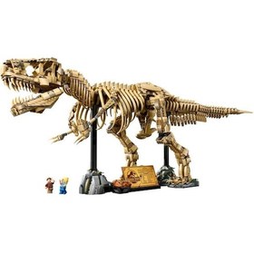 Resim Lego 76968 Jurassic World Dinozor Fosilleri: Tyrannosaurus Rex 