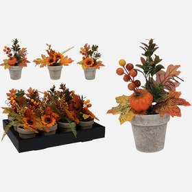 Resim Saksıda Sonbahar Bitkisi 21 cm 