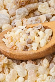 Resim Hello Minaste Akgünlük Sakızı Sığla Ağacı Buhuru - Ak Günlük Ağacı Reçine Günlük Otu Boswellia Serrata - 250 gr 
