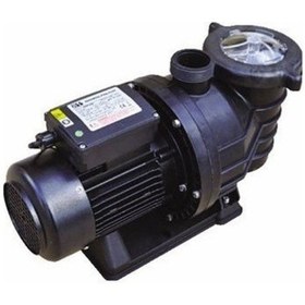 Resim Smp Havuz Pompası 1.5 Hp 220 Volt 