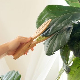 Resim 1/2/4 adet Yaprak Temizleme Maşası - Ergonomik Saplı Elde Taşınabilir Yeşil Bitki Temizleme Fırçası, Dayanıklı Ahşap Tasarım ile Etkili Yaprak Çıkarma, İç ve Dış Mekan Kullanımı için İdeal, Bitki Bakım Aracı, Doğal Ahşap Kaplama, Sağlam Yapı 