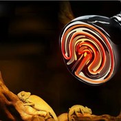 Resim Seramik Sürüngen Isıtıcı Lamba Kızılötesi Ampül 100W E27 Kuluçka N11.3667 