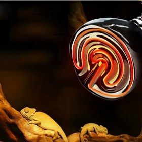 Resim Seramik Sürüngen Isıtıcı Lamba Kızılötesi Ampül 100W E27 Kuluçka N11.3667 