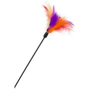 Resim Beeztees Kedi Oltası, Tüylü Uc-12cm, 45cm 