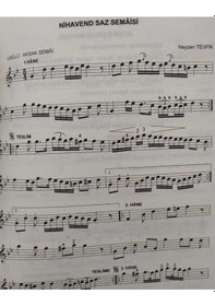 Resim Ud Metodu Yeni Başlayanlar için - Sevgican Güngör 