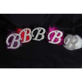 Resim Swarovski Gümüş Taşlı Dikiz Ayna Kolye Süsü Kırmızı Tüylü B Harfi 