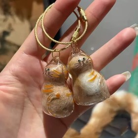 Resim 6 Adet Şeffaf Kedi Tüyü Saklama Kutusu, Kedi Tüyü Toplama Kabı, Dekoratif Kedi Tüyü Organizatörü, Saç Aksesuarları Saklama, Eğlenceli Estetik, Fantezi Tasarım, Süslü Kap 