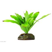 Resim Exo Terra Teraryum İçin Plastik Bitki Small 