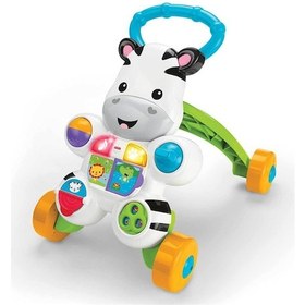 Resim Fisher-Price Melodili Zebra Bebek Yürüme Yardımcısı DLD80 