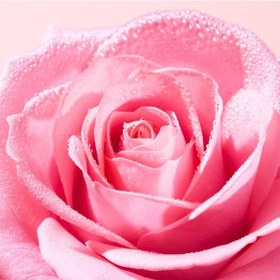 Resim Nuxe Very Rose Soothing Cleansing Gel 150 Ml 