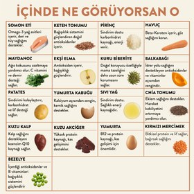 Resim Kuzu Etli Yavru Köpek Maması 2.5 KG + 6 Adet Kito Fresh Somon Etli %100 Taze İçerikli Mama 