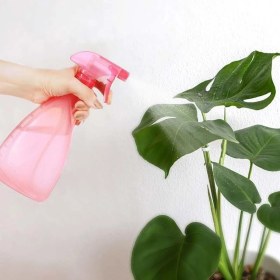 Resim Motto Ticaret Çok Amaçlı Fısfıs Çiçek Sulama Plastik Su Sprey Şişesi 700 ml TP-219 (5517) 