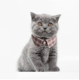 Resim Mavi Evcil Hayvan Yaka Papyon Kedi Ekose Ayarlanabilir Smokin Yaka Kediler Küçük Köpek Beyefendi Tarzı Kedi Boyun Tasması 56716316 