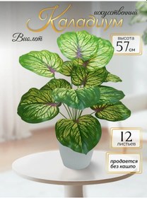 Resim Gromomol Flowers Dekorasyon İçin Yapay Caladium 405291528 Yeşil 