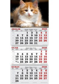 Resim 2026 Yılı Gemici Takvimi-cymric Cins Kedi 