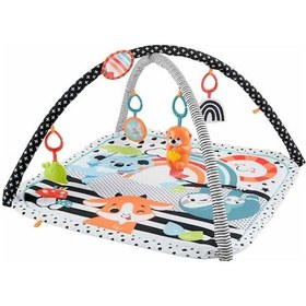Resim Fisher-Price HBP41 Neşeli Hayvanlar 3'ü 1 Arada Jimnastik Merkezi 