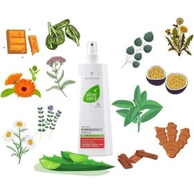 Resim Lr Aloe Acil Yardım Spreyi 400 ml 0 - 1 Yaş İçin Dermatolojik Onaylı 360 Derece Dönebilme 