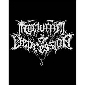 Resim Z zepplin Nocturnal Depression Logo Büyük Sırt Patch Yama 