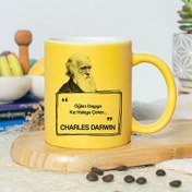 Resim Esprili Charles Darwin Sarı Kupa Bardak 