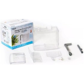 Resim Ista Küçük Yavruluk 