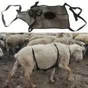 Resim Nefes Alabilen Koyun Göbek Koruyucu - Çiftleşme Karşıtı, Çiftlik Hayvanları, Atlar & Sığırlar için Koyun Koruma Torbası 