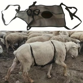 Resim Nefes Alabilen Koyun Göbek Koruyucu - Çiftleşme Karşıtı, Çiftlik Hayvanları, Atlar & Sığırlar için Koyun Koruma Torbası 