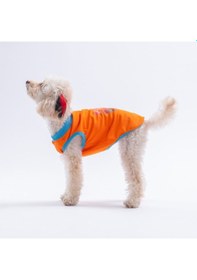 Resim Orange-turuncu All Good Days Kedi Köpek Tişörtü-kedi Köpek Kıyafeti 