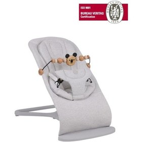 Resim Will Bouncer Side Ana Kucağı - Grey & Ana Kucağı Oyuncağı Koala Natural 