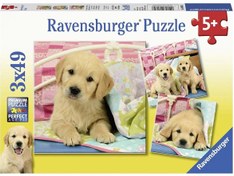 Resim Ravensburger 3x49 Parça Puzzle Puppies 080656 