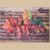 Resim Q-Art Kanvas Tablo 