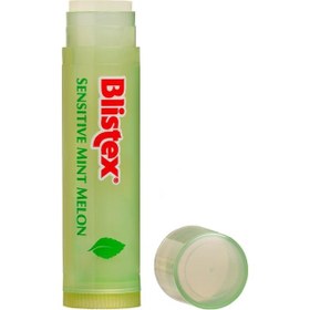 Resim Blistex Agave Rescue Uzun Süreli Nemlendirici Kurtarıcı Dudak Bakım Kremi 3.7 Gr 