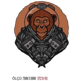 Resim Motorsiklet Otomobil Sticker 2 Adet 159 