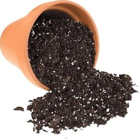 Resim Bitki Çoşturan Perlit Katkılı Torflu Kaktüs, Sukulent Ve İç Mekan Bitki Toprağı 40 Litre 