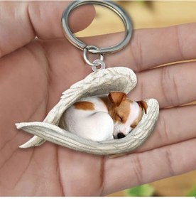 Resim Maiyame Akryl Köpek Figürlü Anahtar Klasörü - Tek Taraflı Uv Baskılı, Ev Ve Araba Kullanıma Uygun, Dayanıklı Materyal, Pratik Ve Şık Tasarım 