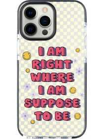 Resim shoptocase Iphone 14 Pro Max Uyumlu Lens Korumalı Anti Shock Dama Smile Tasarımlı Telefon Kılıfı 