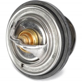 Resim AGCO Termostat - Massey Ferguson / Fendt / Valtra | ACP0433340 
