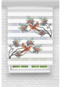 Resim Perdecizade Enxboy Ağaçdaki Kuşlar Dijital Baskılı Zebra Perde-cocuk Odası-stor Perde Pz-774 Renkli 