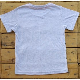 Resim Tanem Kids Kısa Kollu Erkek Çocuk T-Shirt 5-7 Yaş Gri 