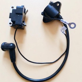 Resim Benzinli İlaçlama 3WF-3 Palmera 076-086 Elektronik Ve Ateşleme B 