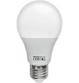 Resim Horoz Electrıc Premıer-9 9 Watt E27 8400k Beyaz Led Ampul 