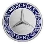 Resim Mercedes W176 Jant Göbeği Mo A17140001255337 