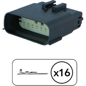 Resim MOLEX Focus Far Soketi Dişi 16 Pin Kablosuz 